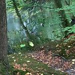 Hébergement de vacances Neu! Refugium Friesenhaus