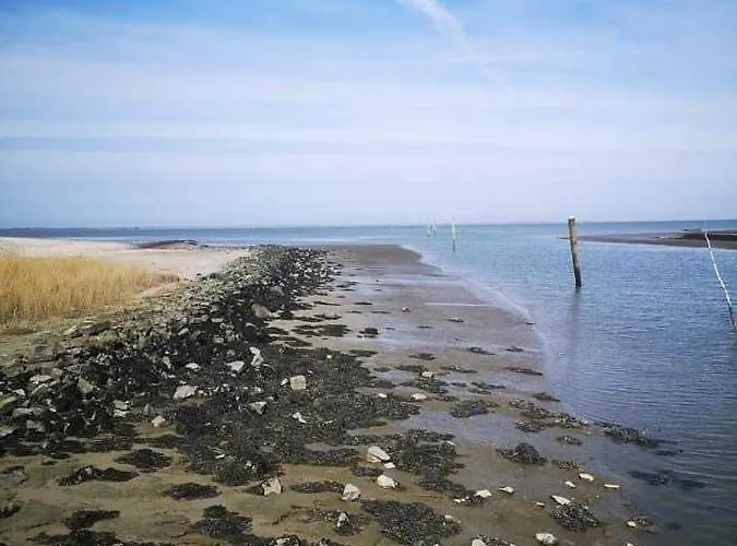 Neu! Refugium Friesenhaus *